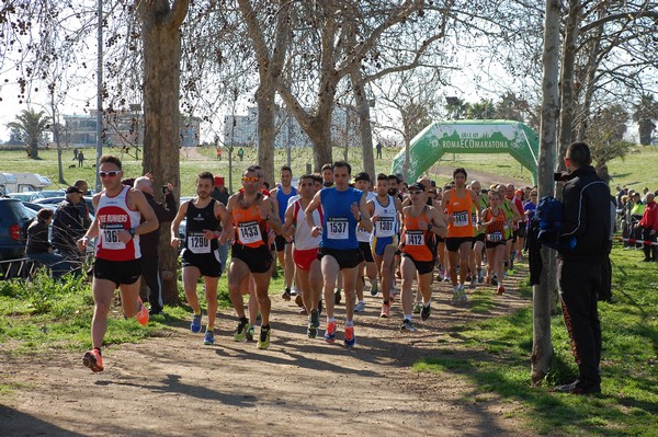 Corri per il Parco Alessandrino (08/03/2015) 00012