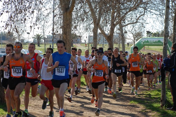 Corri per il Parco Alessandrino (08/03/2015) 00016
