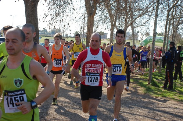 Corri per il Parco Alessandrino (08/03/2015) 00029