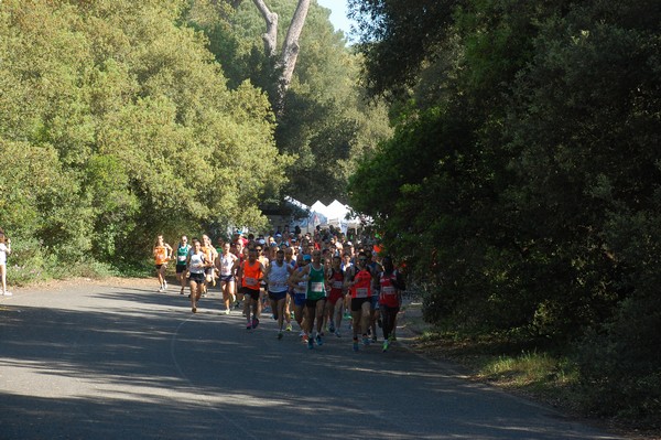 Rincorriamo la pace con 