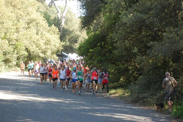 Rincorriamo la pace con 