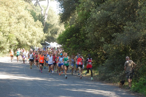 Rincorriamo la pace con 