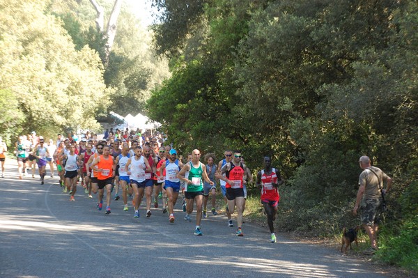 Rincorriamo la pace con 