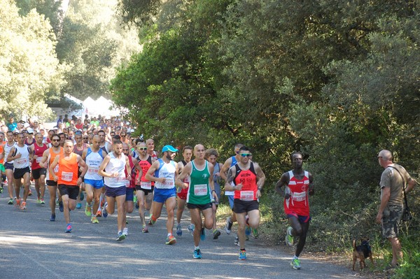 Rincorriamo la pace con 