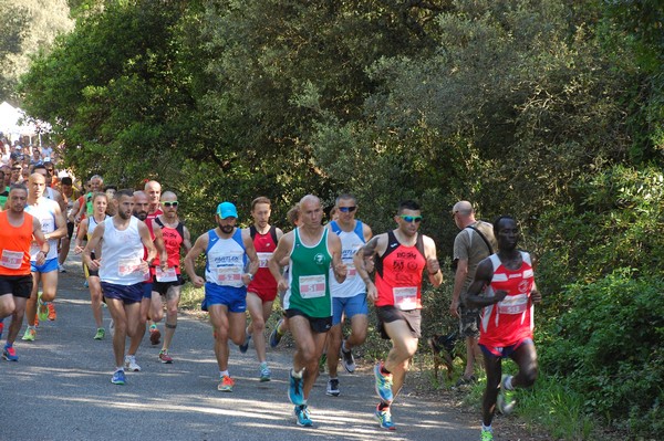 Rincorriamo la pace con 