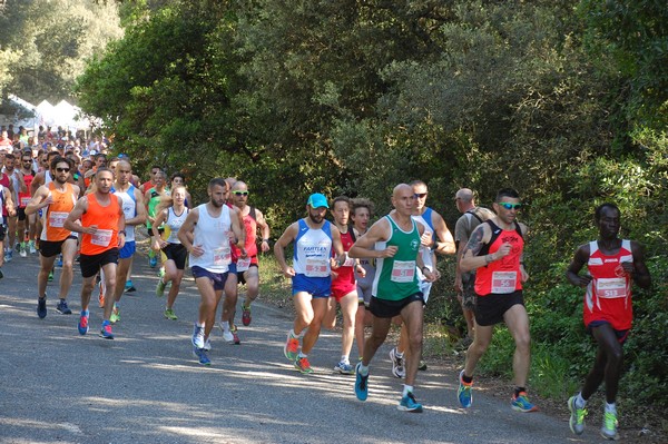 Rincorriamo la pace con 