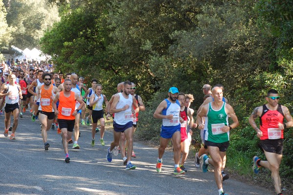 Rincorriamo la pace con 
