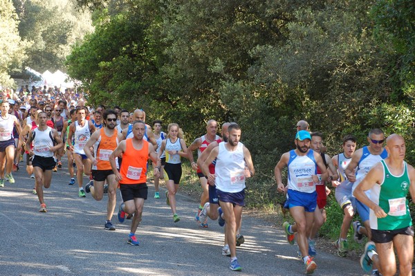 Rincorriamo la pace con 