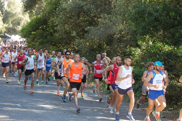 Rincorriamo la pace con 