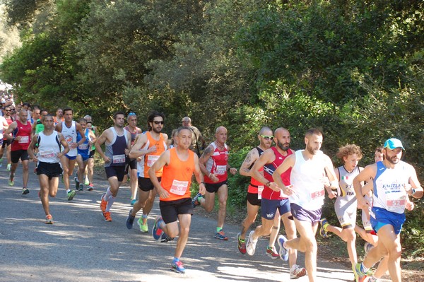 Rincorriamo la pace con 
