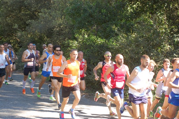 Rincorriamo la pace con 