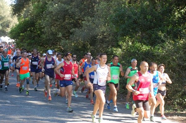 Rincorriamo la pace con 