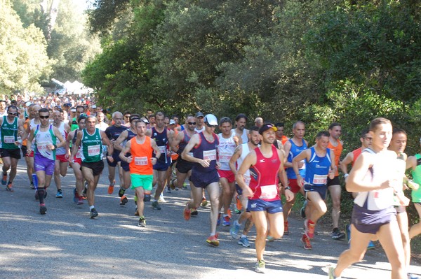 Rincorriamo la pace con 