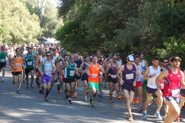 Rincorriamo la pace con 