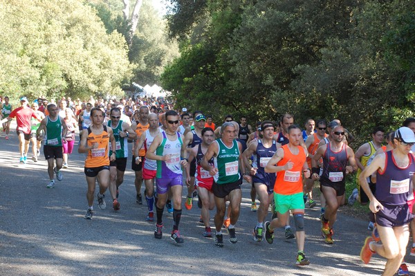 Rincorriamo la pace con 