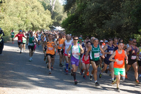 Rincorriamo la pace con 