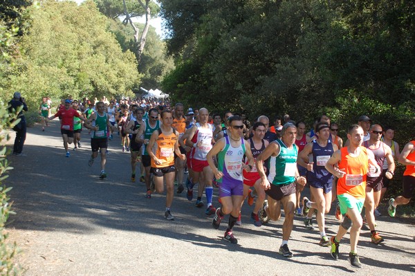Rincorriamo la pace con 