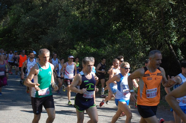 Rincorriamo la pace con 
