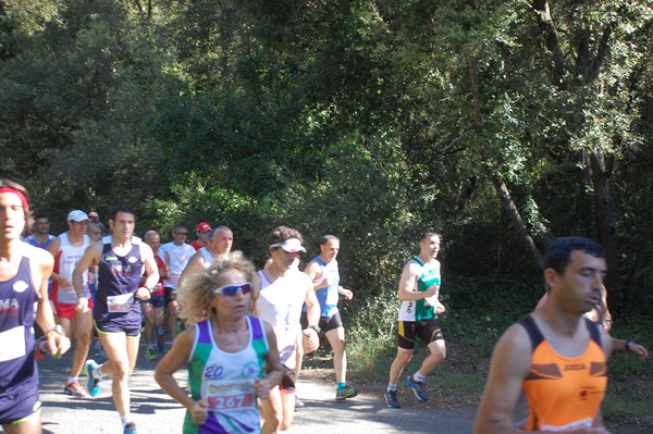 Rincorriamo la pace con 
