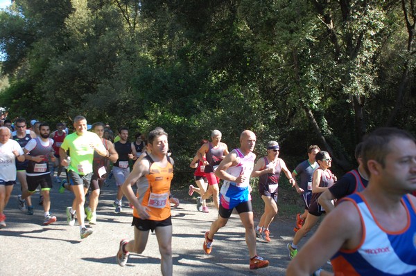 Rincorriamo la pace con 