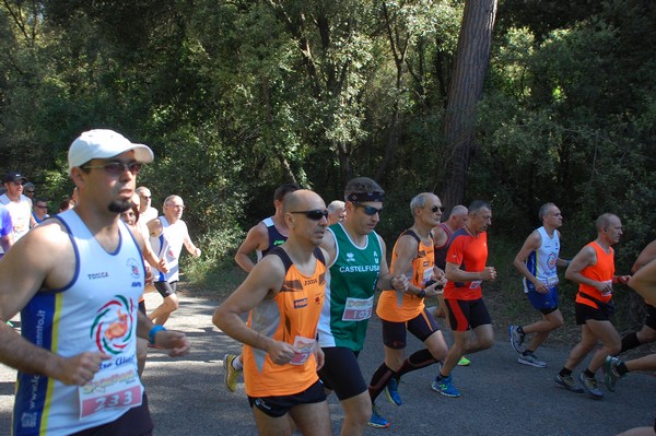 Rincorriamo la pace con 
