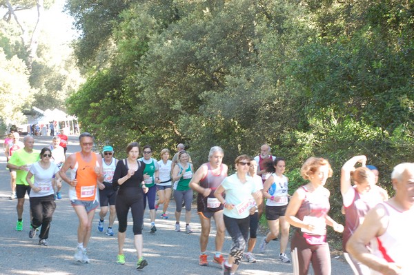 Rincorriamo la pace con 