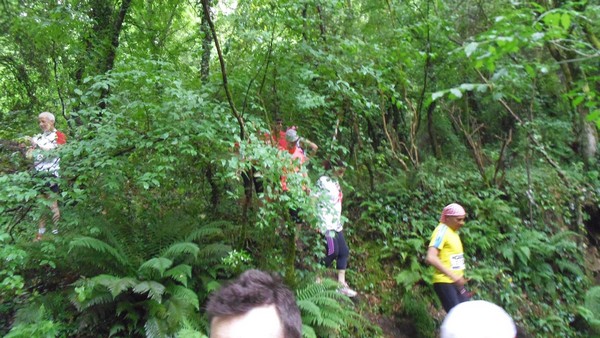 Etrurian Trail (24/05/2015) 00018