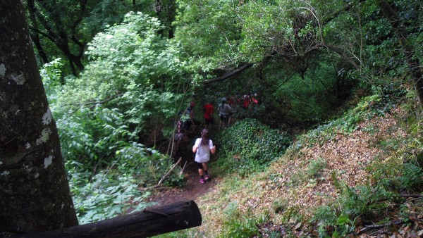 Etrurian Trail (24/05/2015) 00028