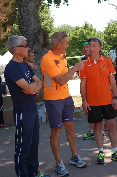Maratonina di Villa Adriana (31/05/2015) 00052