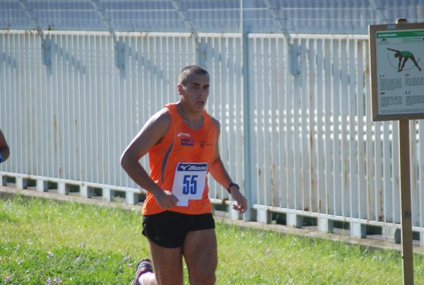 Trofeo Podistica Solidarietà (27/09/2015) 00033
