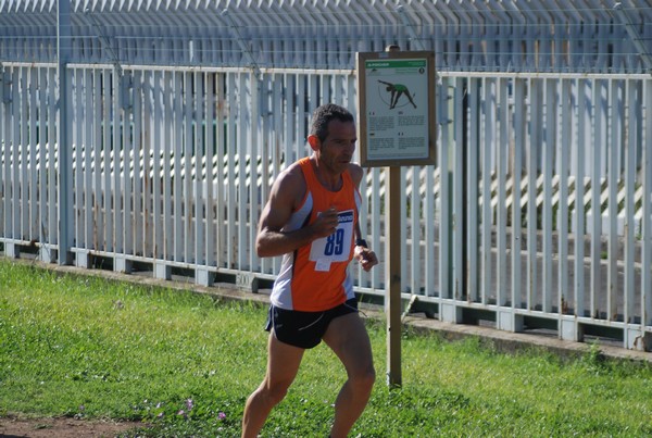 Trofeo Podistica Solidarietà (27/09/2015) 00039