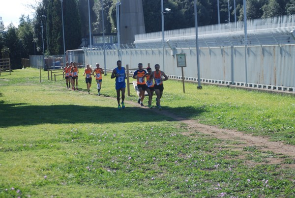 Trofeo Podistica Solidarietà (27/09/2015) 00041