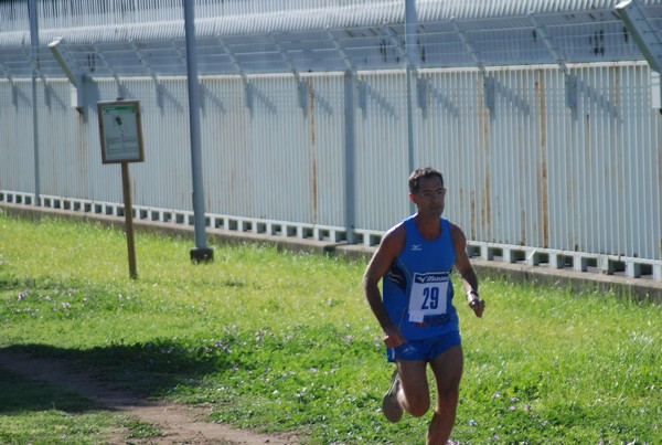 Trofeo Podistica Solidarietà (27/09/2015) 00051
