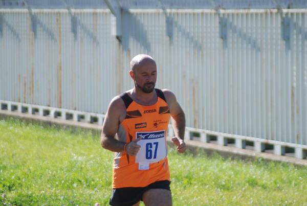 Trofeo Podistica Solidarietà (27/09/2015) 00119