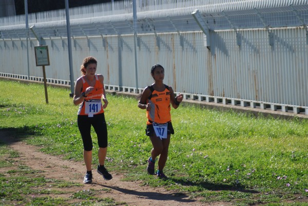 Trofeo Podistica Solidarietà (27/09/2015) 00133