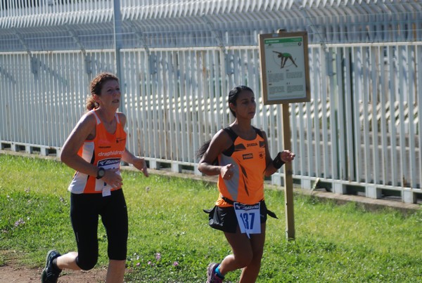 Trofeo Podistica Solidarietà (27/09/2015) 00135