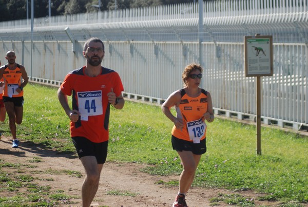 Trofeo Podistica Solidarietà (27/09/2015) 00157