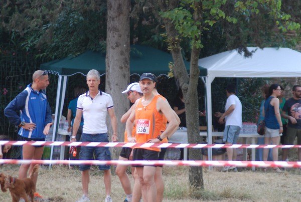 Solstizio d'estate ( C.E.)  (14/06/2015) 00009