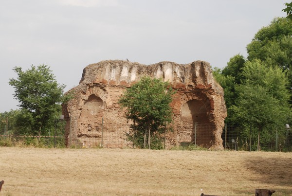 Solstizio d'estate ( C.E.)  (14/06/2015) 00010