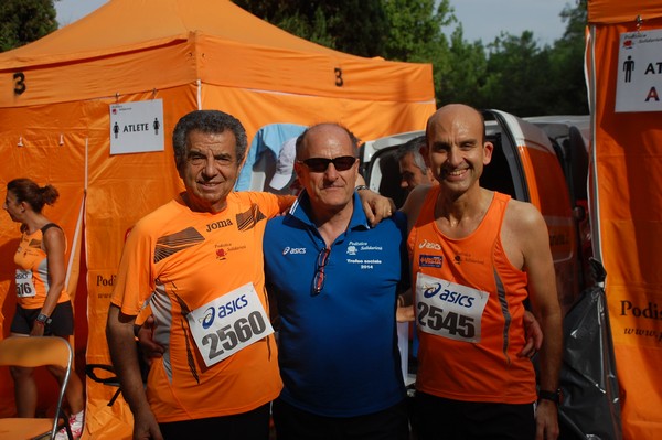 Solstizio d'estate ( C.E.)  (14/06/2015) 00020