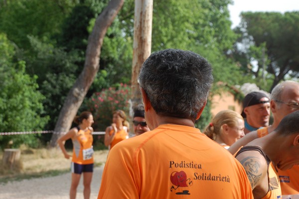 Solstizio d'estate ( C.E.)  (14/06/2015) 00025