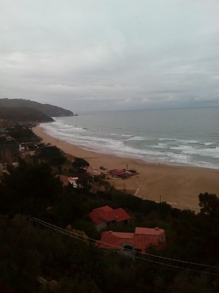 Corrisperlonga (22/02/2015) 00004