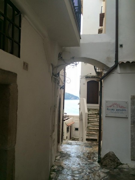 Corrisperlonga (22/02/2015) 00029