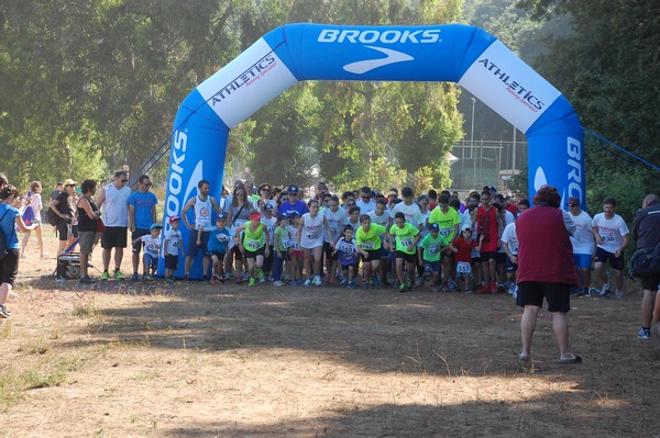Trofeo Città di Nettuno (02/06/2015) 00002