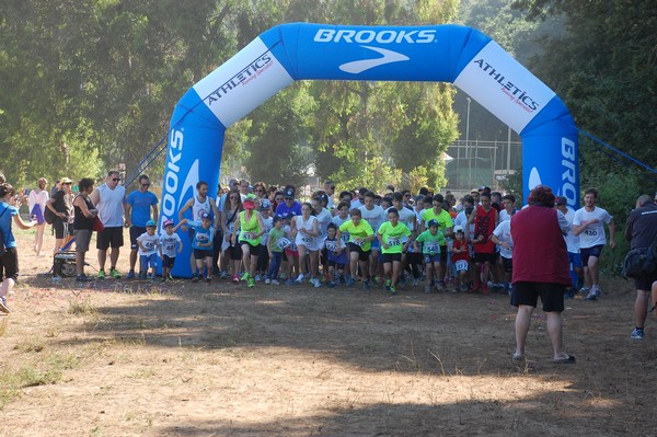 Trofeo Città di Nettuno (02/06/2015) 00003