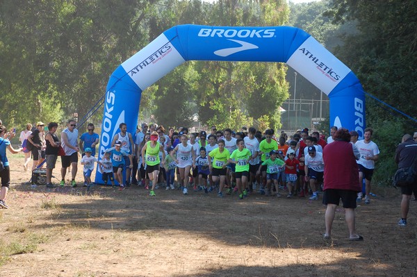 Trofeo Città di Nettuno (02/06/2015) 00004
