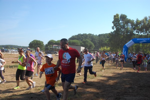 Trofeo Città di Nettuno (02/06/2015) 00018