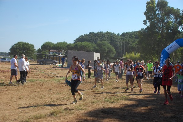 Trofeo Città di Nettuno (02/06/2015) 00021