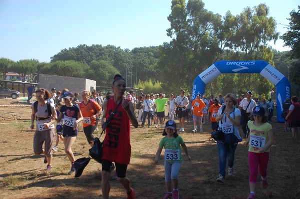 Trofeo Città di Nettuno (02/06/2015) 00024