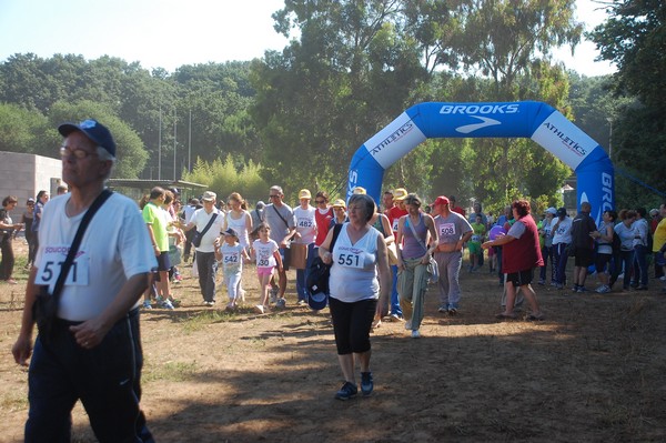 Trofeo Città di Nettuno (02/06/2015) 00032
